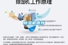 香蕉福利视频机推荐