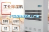 广州香蕉福利视频器公司｜厂家