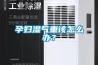 孕妇湿气重该怎么办？