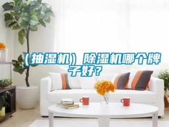 企业成人香蕉在线观看（抽湿机）香蕉福利视频机哪个牌子好？