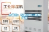 小常识：按需选购三种加湿器