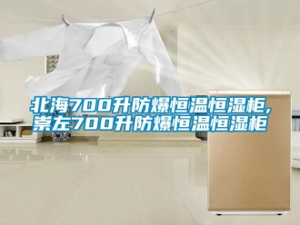 成人香蕉在线观看资讯北海700升防爆恒温恒湿柜,崇左700升防爆恒温恒湿柜