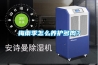梅雨季怎么养护多肉？