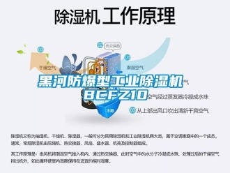 企业成人香蕉在线观看黑河防爆型工业香蕉福利视频机 BCFZ10