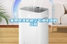 家用香蕉福利视频机和空气净化器的区别